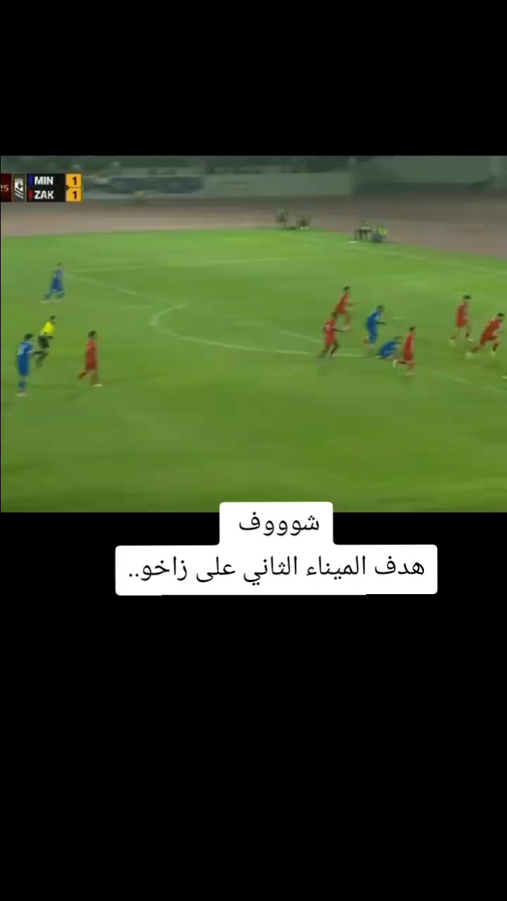 @ملعب البصرة جذع نخلة