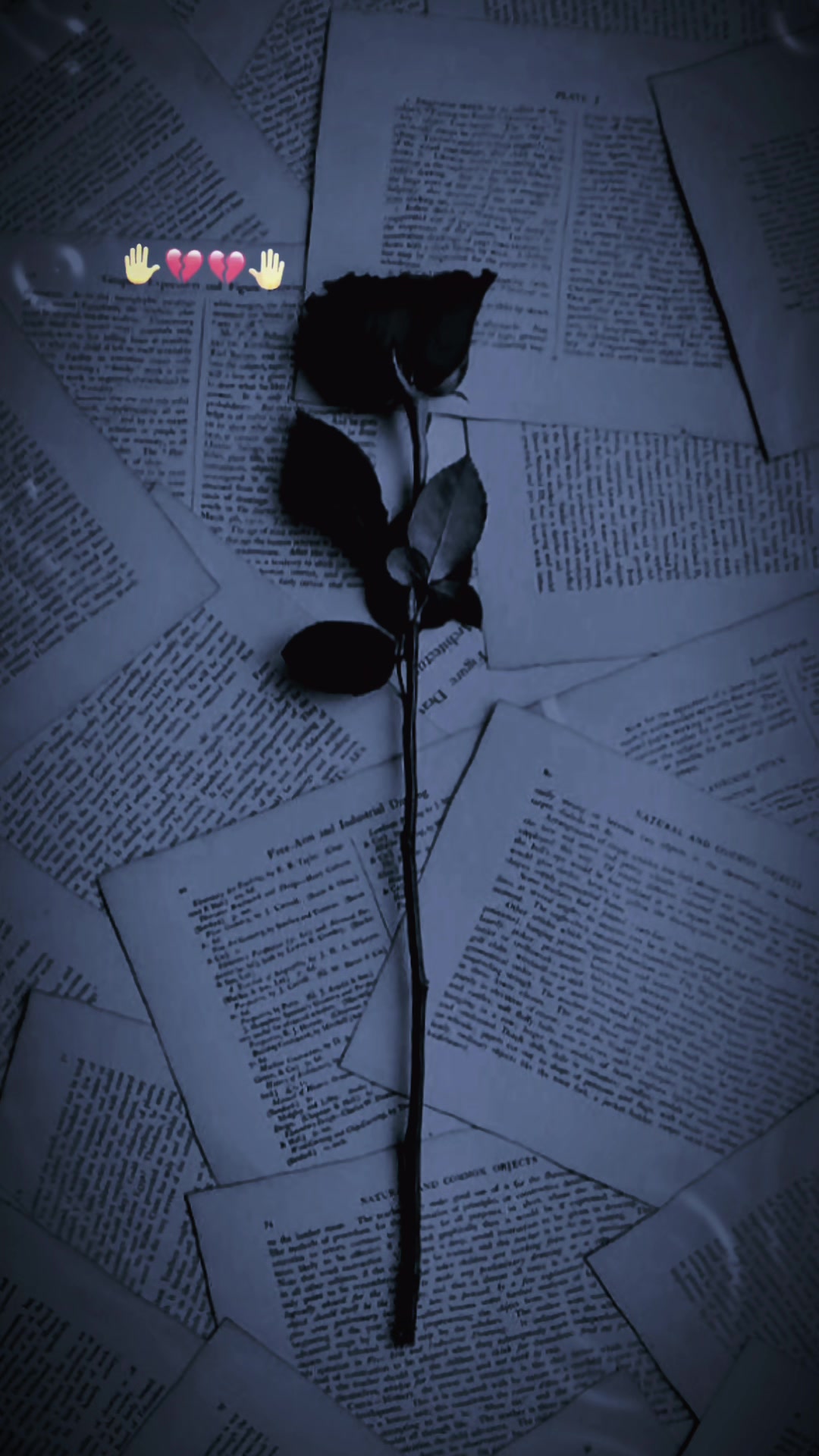 @🖤🥀