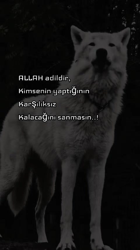 @๐๐๐๐๐ ๐๐๐๐ ๐๐๐๐น๐ท