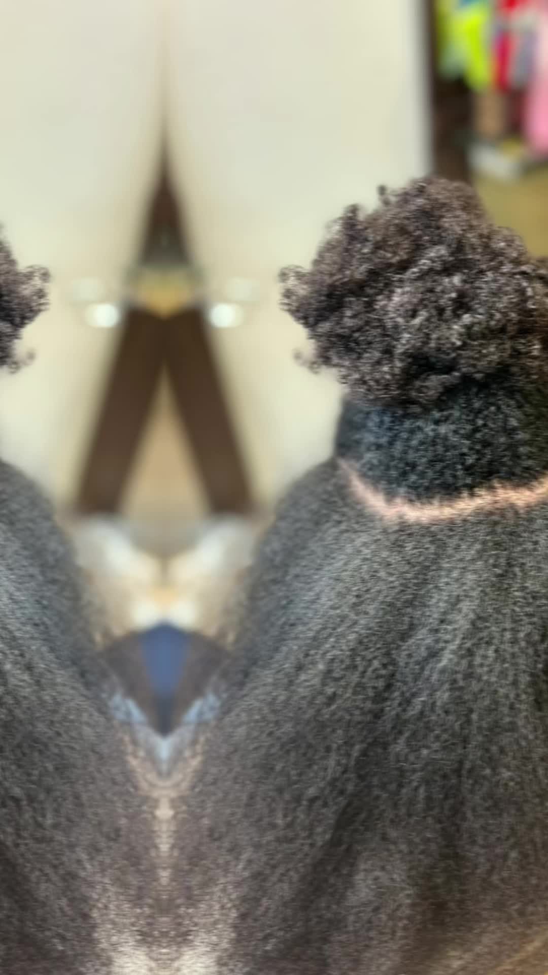 @Shikau Afro Salon (Chufi)