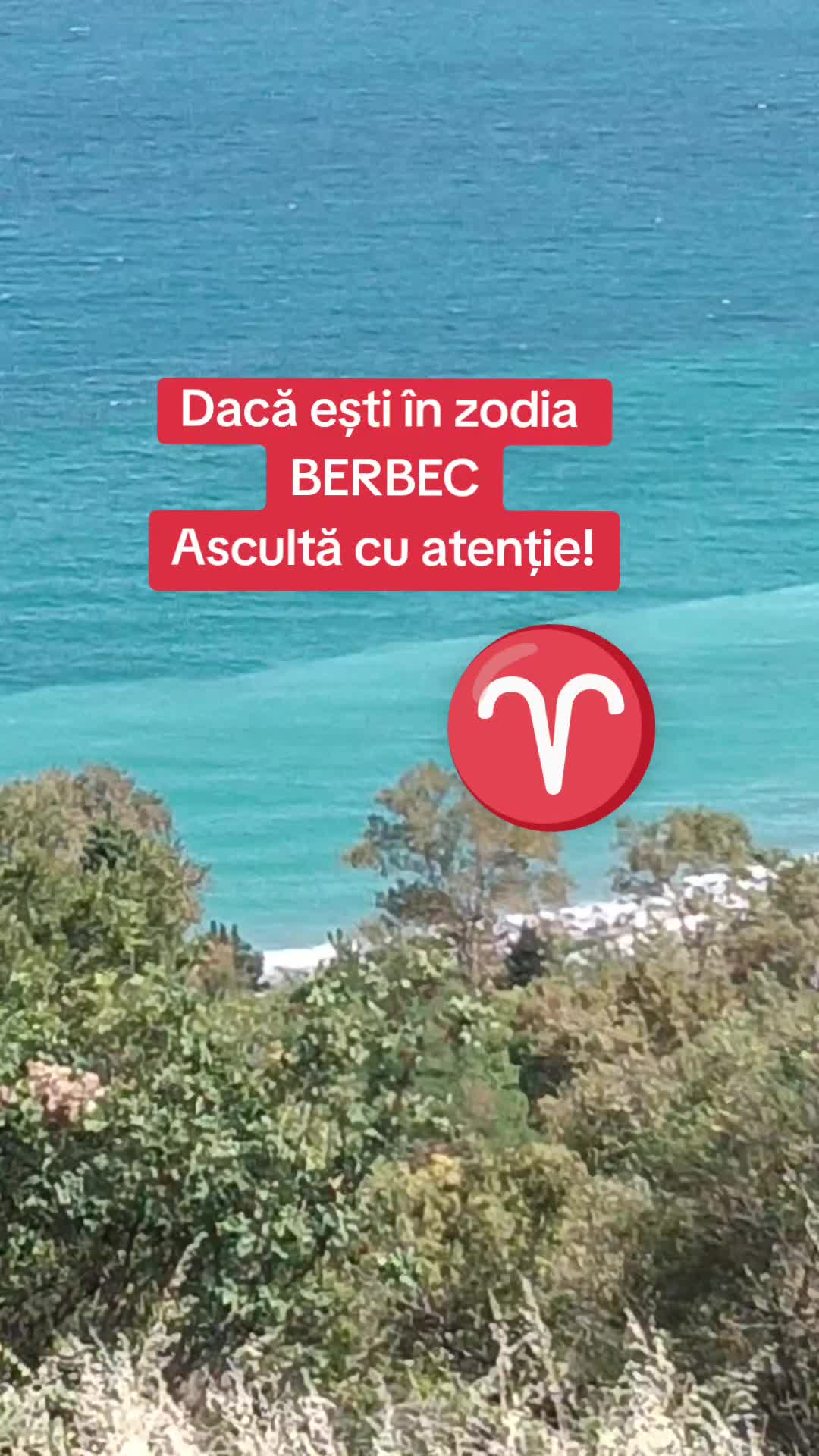 @Cami Călin
