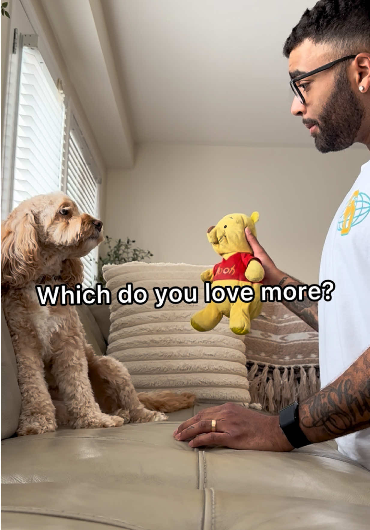 @LunaTheMiniCockapoo