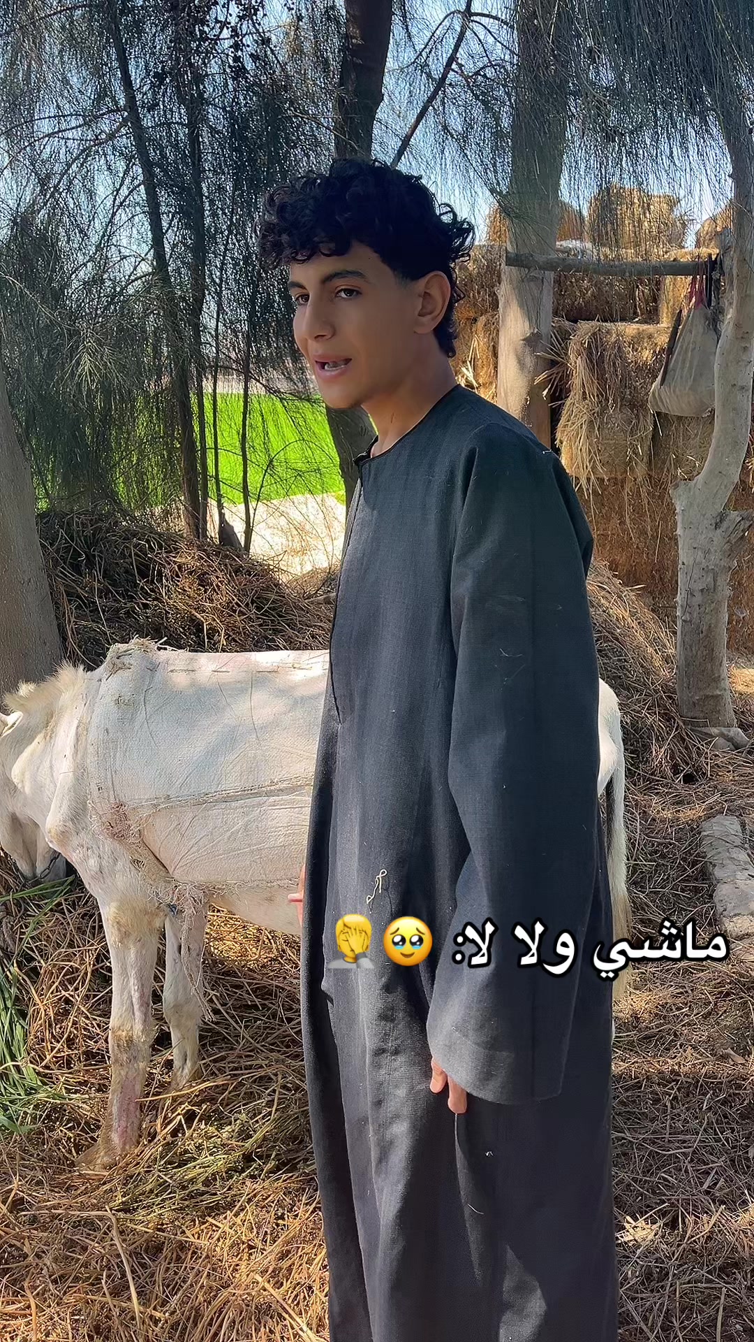 @زفلوطي البلد👌