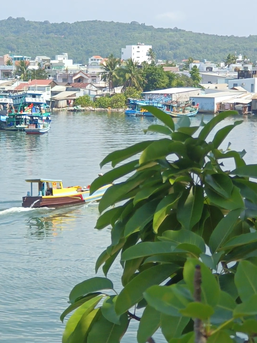 @Napat