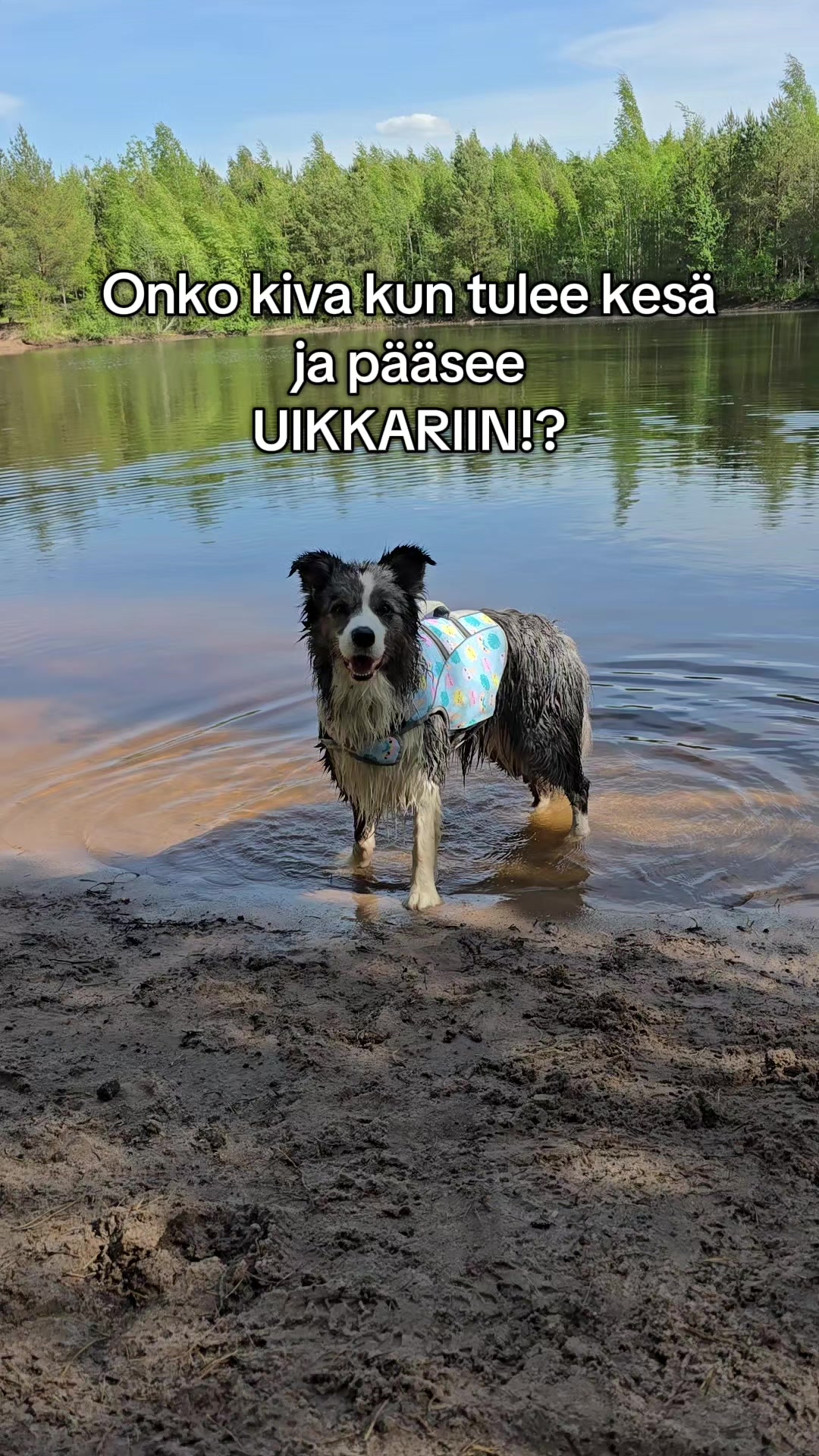 @Kati Häkli
