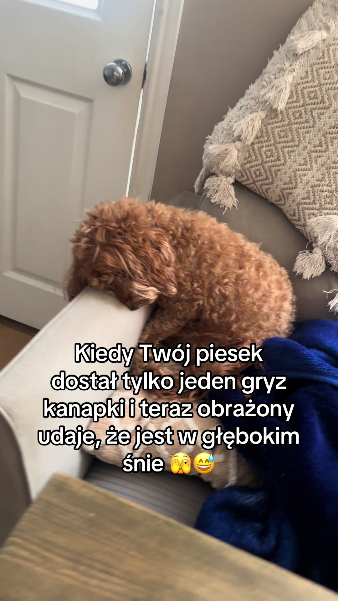 @Sisi
