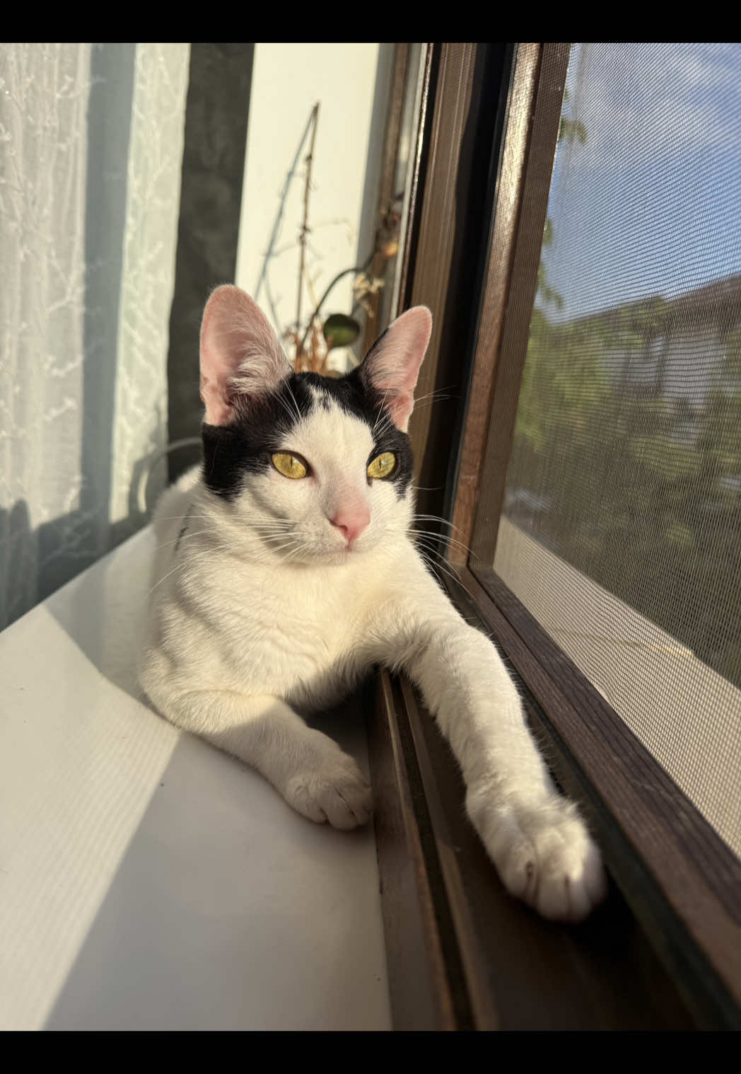 @ℳ𝒶𝓇𝒾𝒶🤍