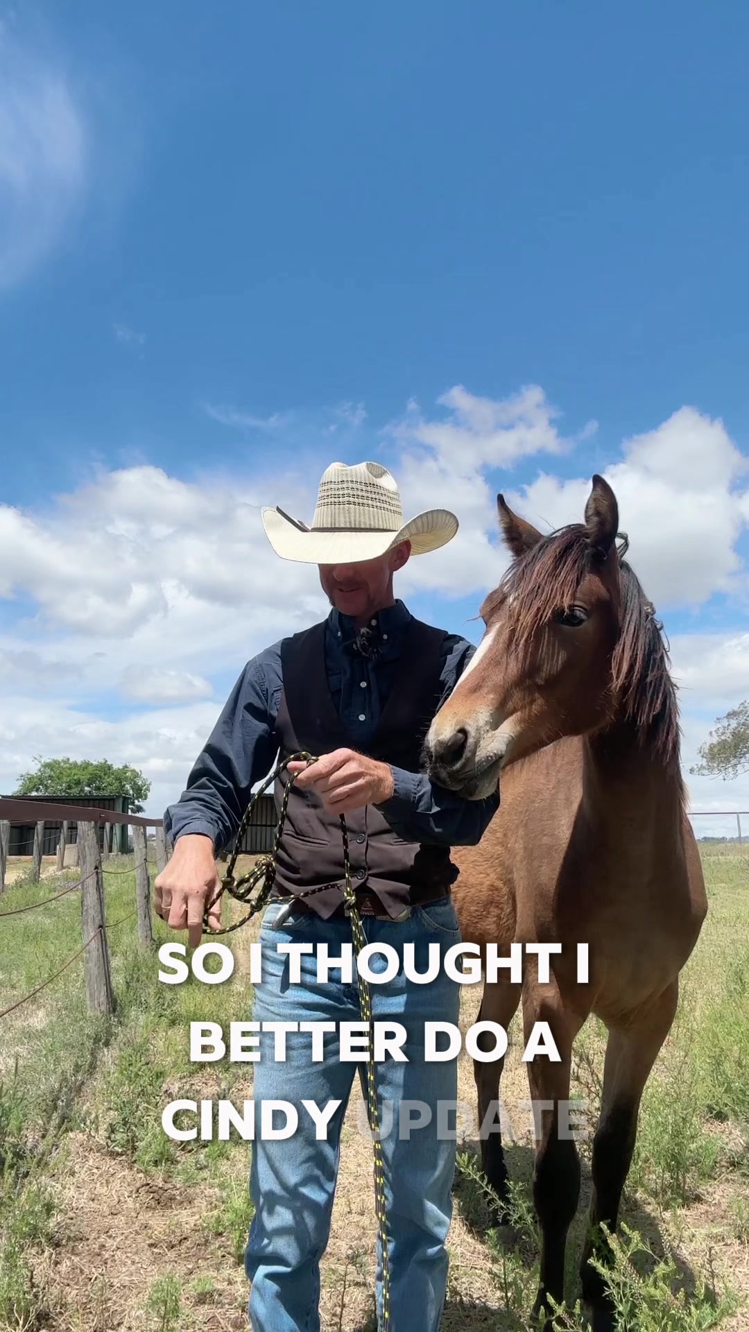 @KimDaleyhorsemanship