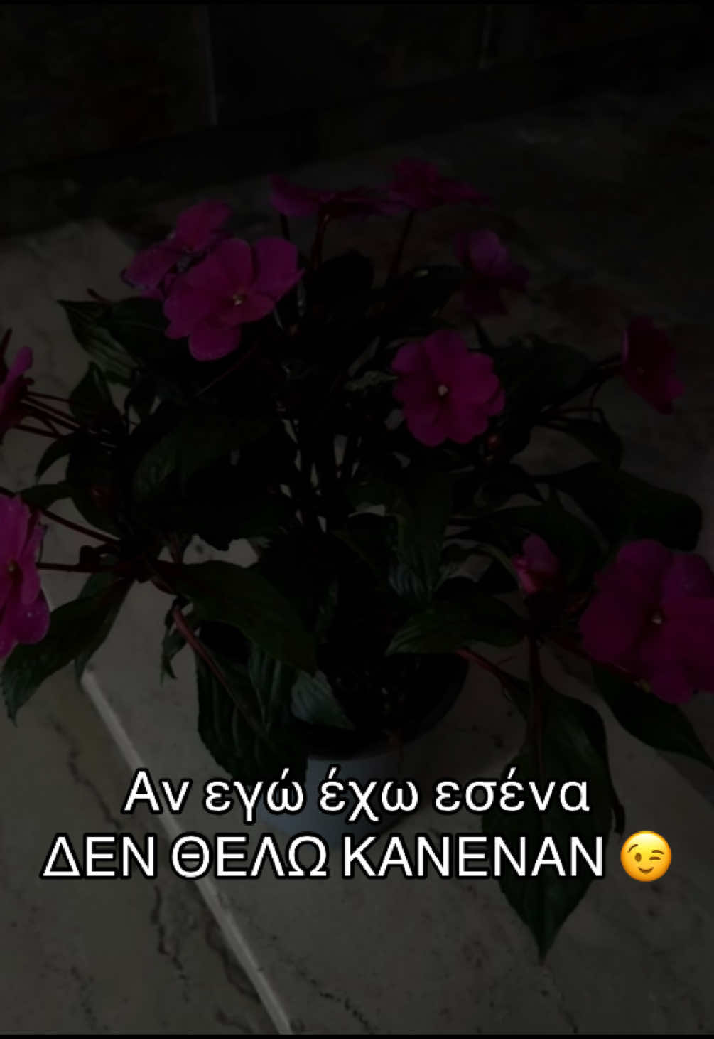@ΤΑ ΡΑΝΤΟΜΣΣΣ ΣΑΣ ⁉️