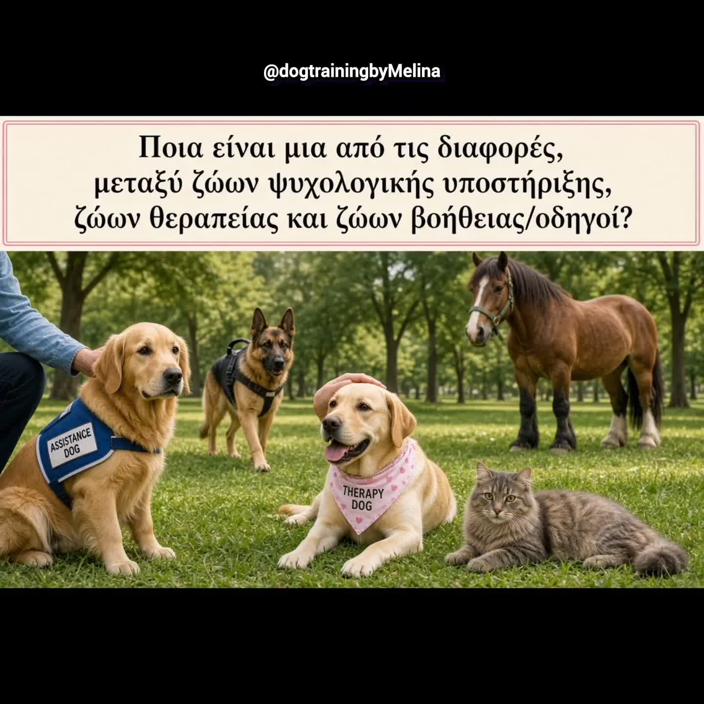 @dogtrainingbymelina