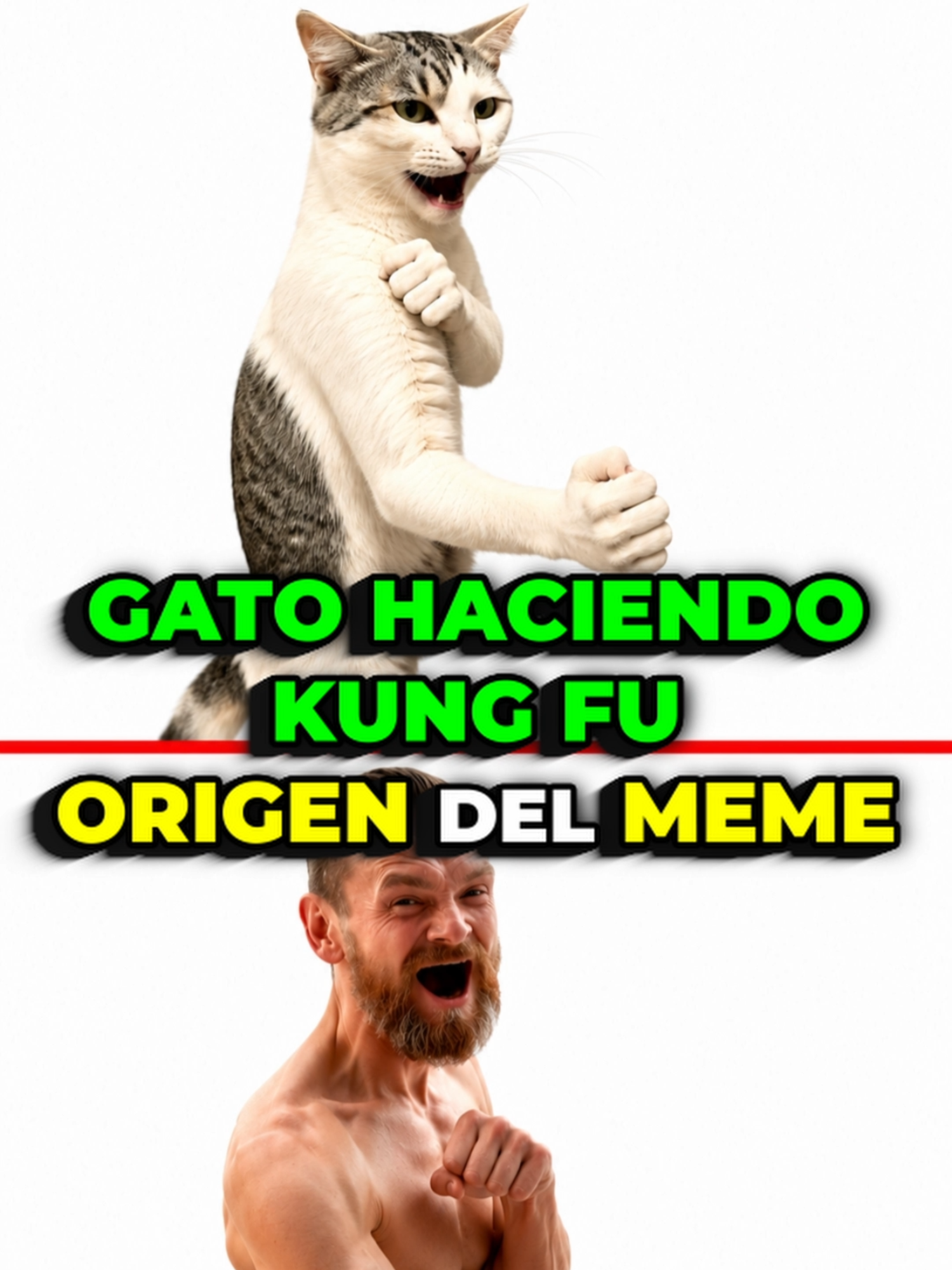 @aprendiendoDDtodo