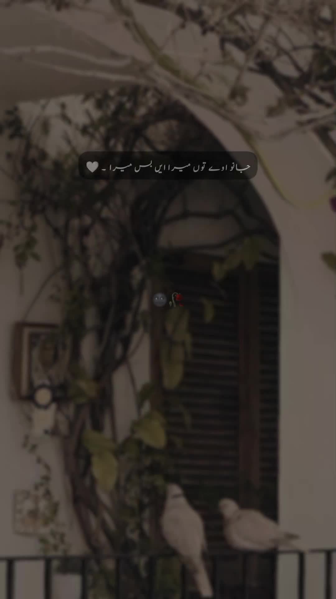 @𝐒 𝐚 𝐌 𝐢 🍂🫀