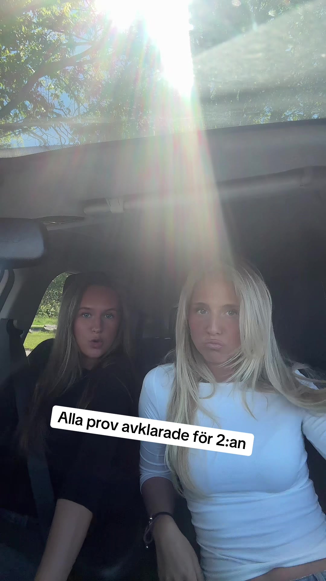 @Dixie Knutsson