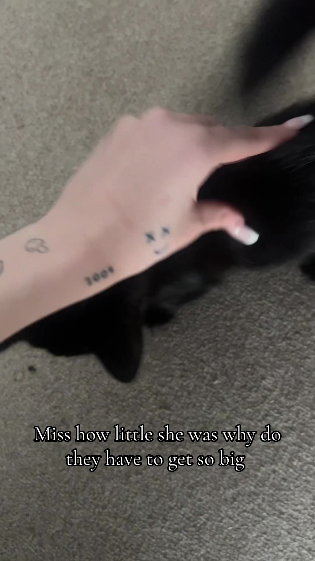 @️