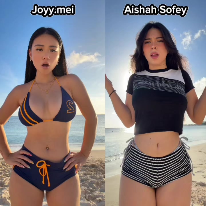 @sechol