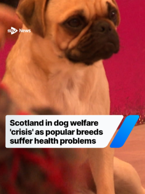 @STV News