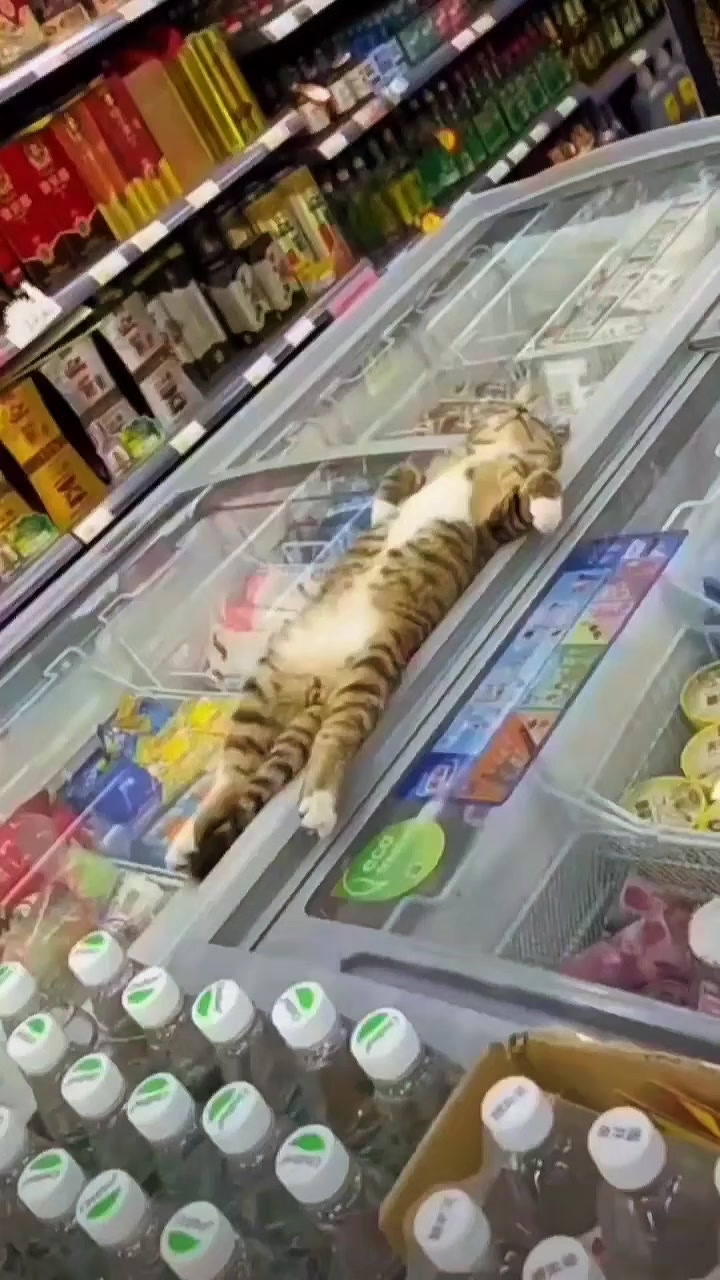 @カズ