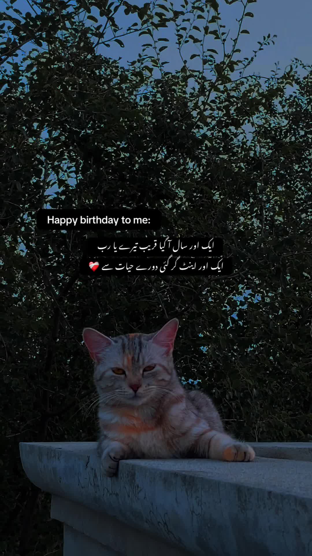 @𝙏𝙖𝙡𝙝𝙖 𝟐🫀❤️&zwj;🩹