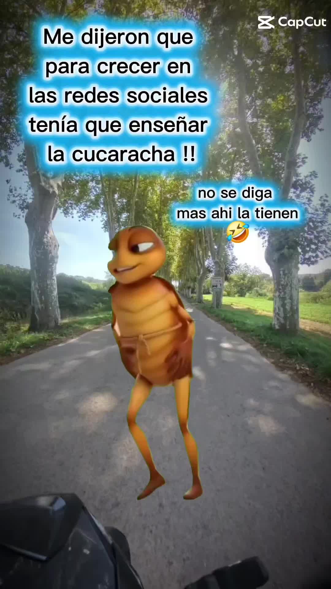 @EstherGuSa