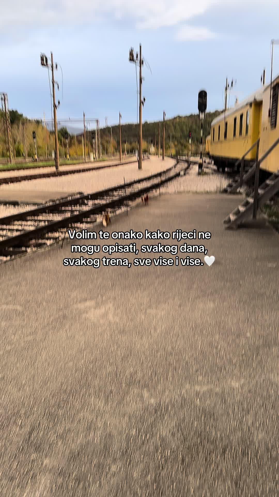 @vozačka dozvola