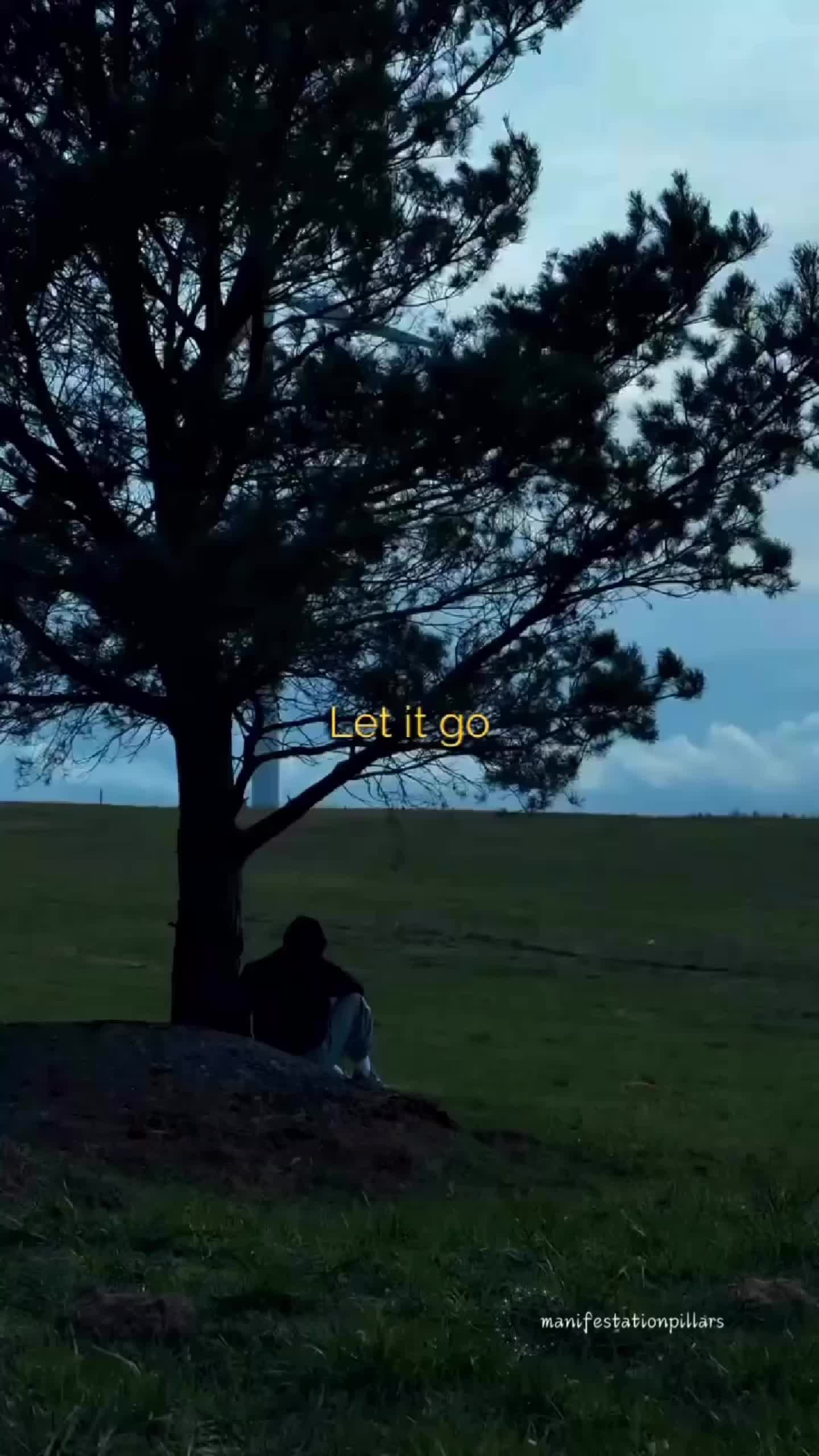@Manifestation_Pillars