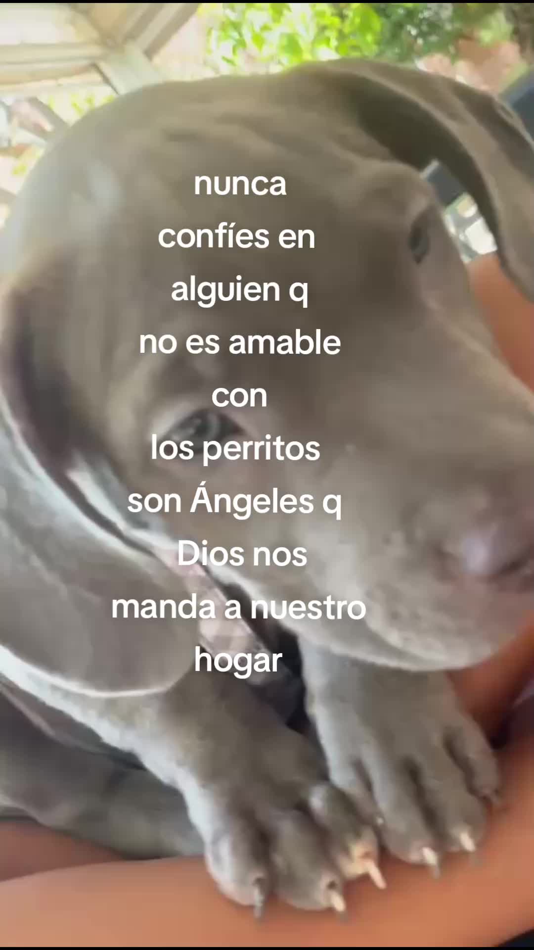 @Mirella Sedamanos