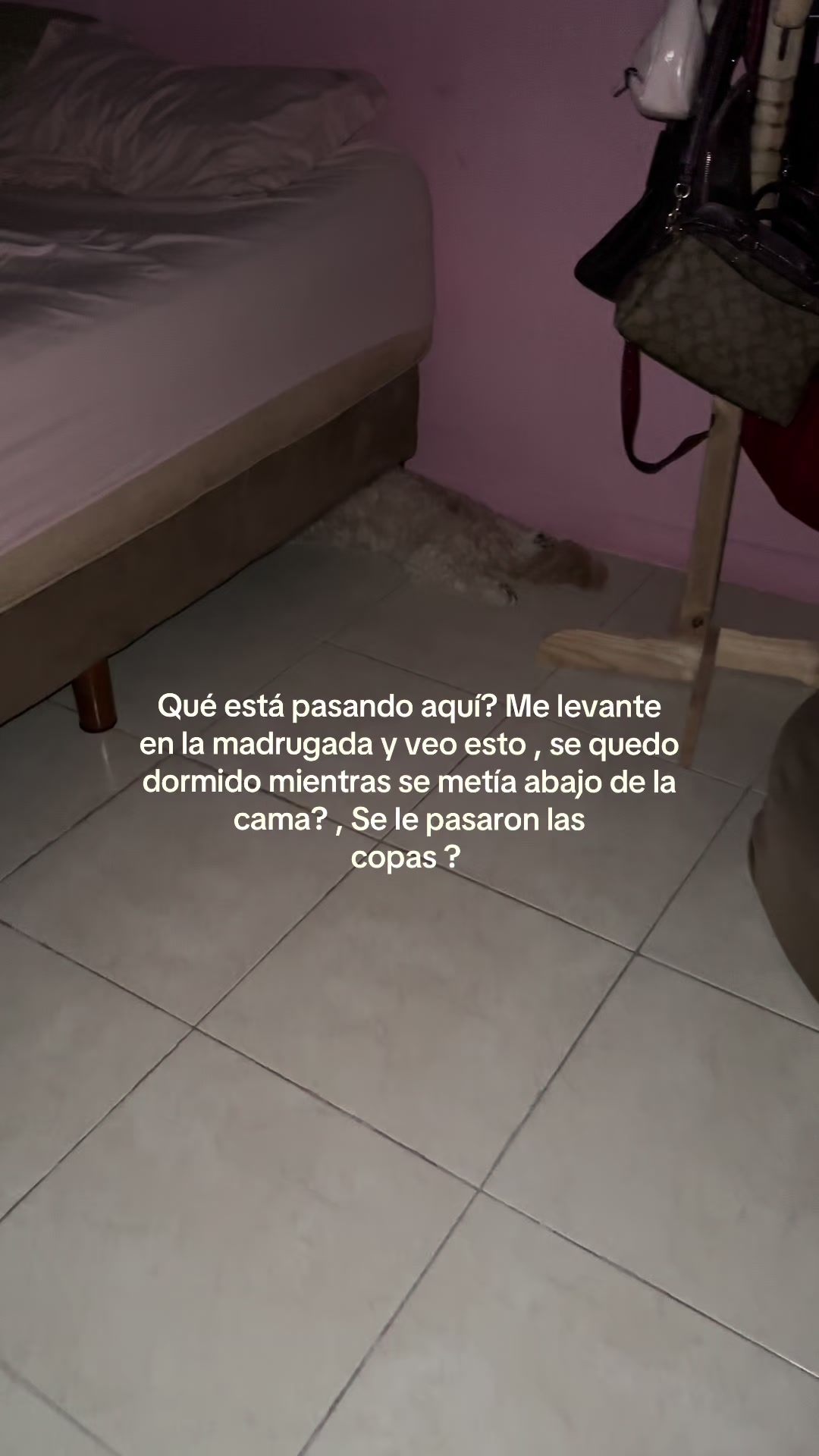 @Bailey velazquez G