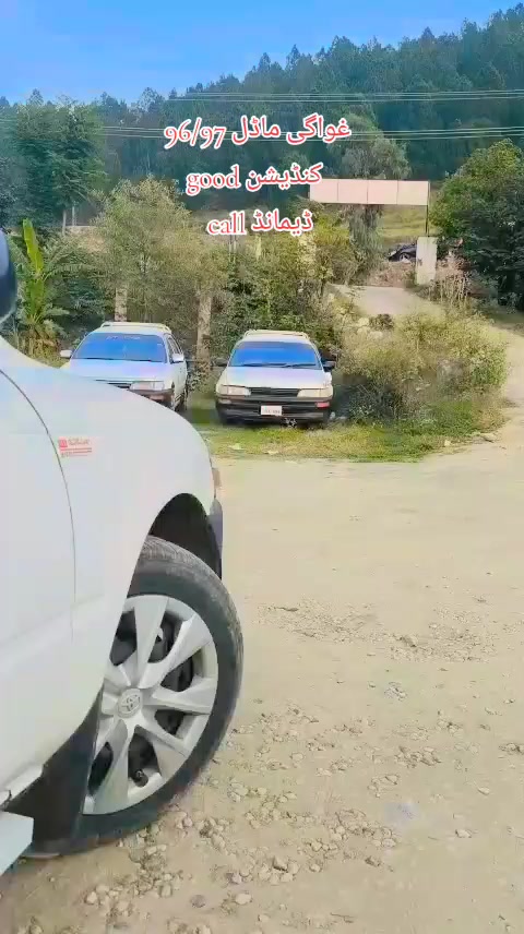 @ncpcarlover1