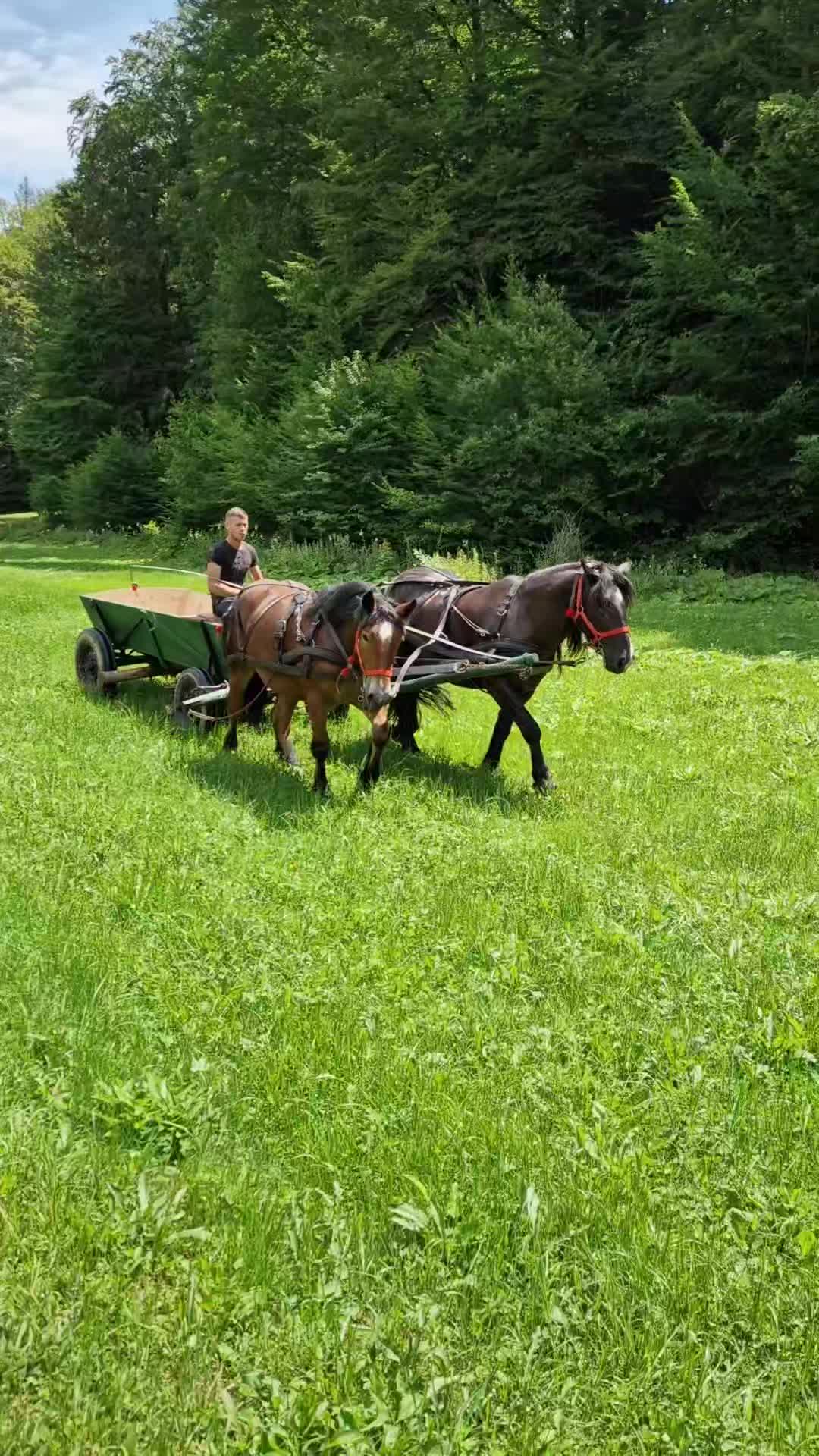 @🤠 Georgiana 🐴