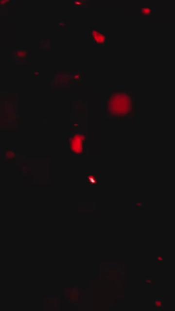 @Darkliteflow