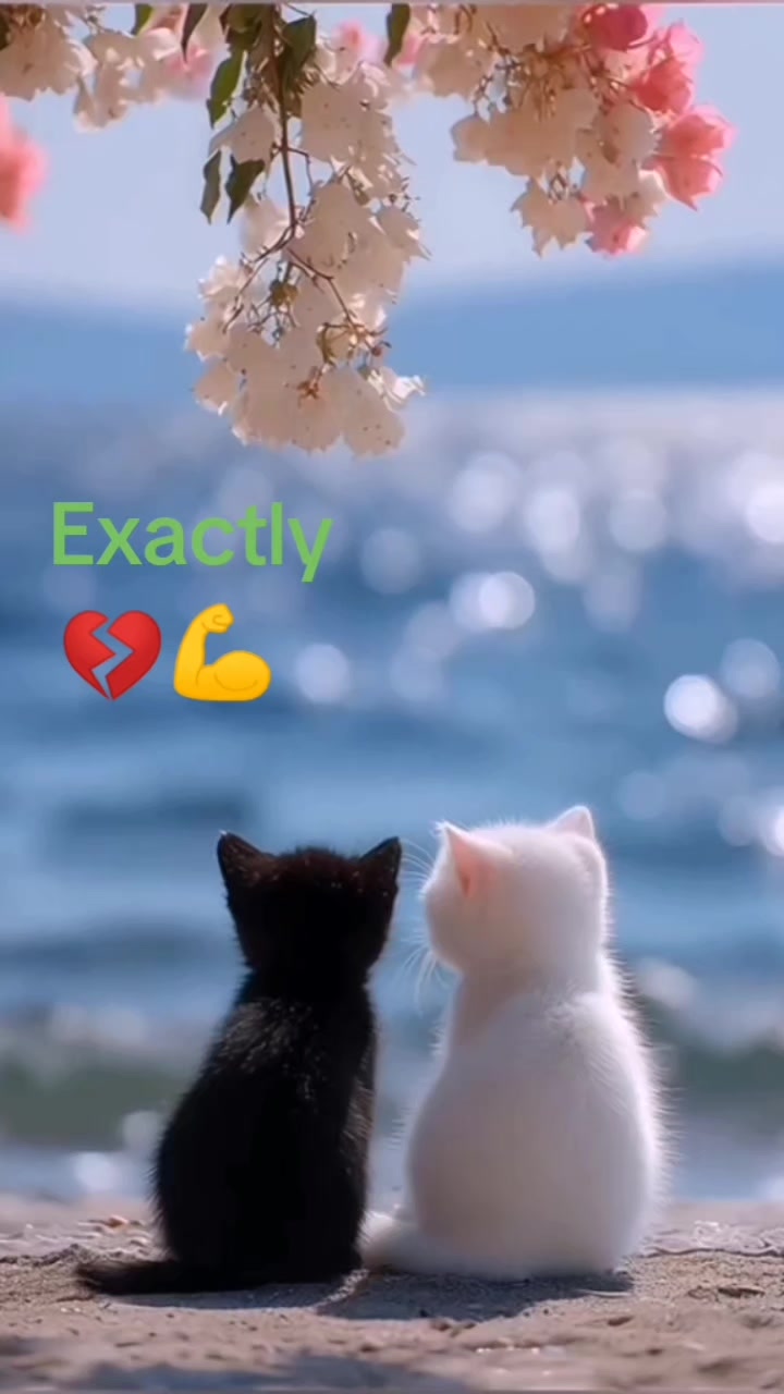 @scarlet 84