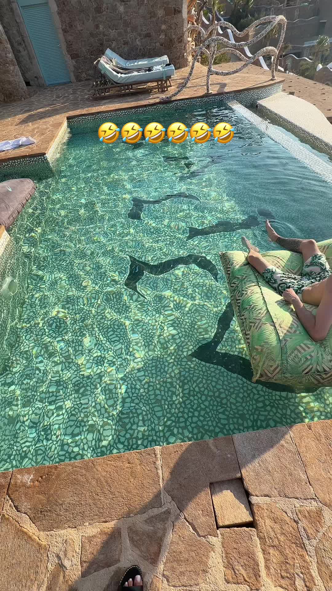 @vanillasefu