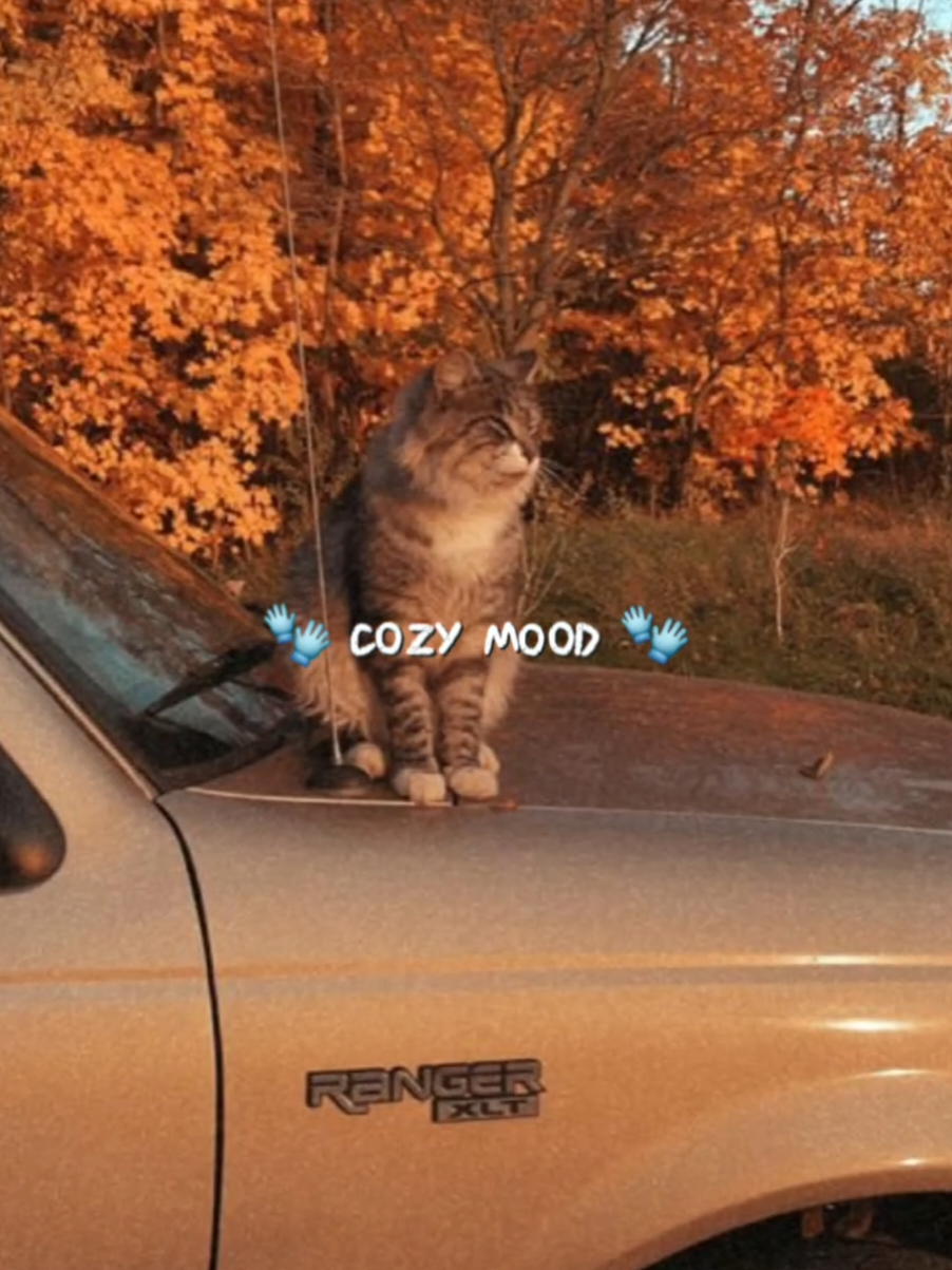 @🍂 seasons time 🍂