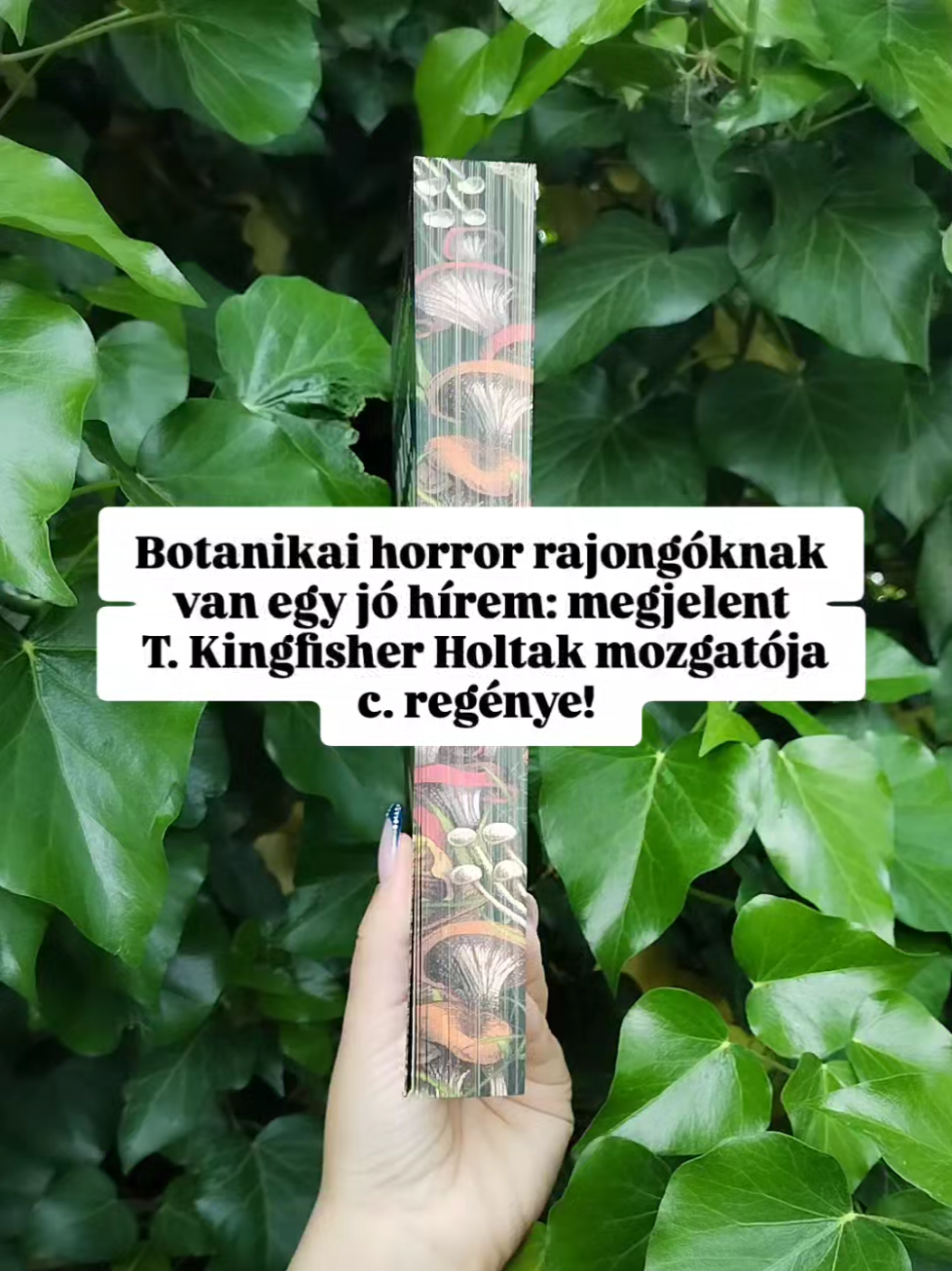@Evi's bookish corner