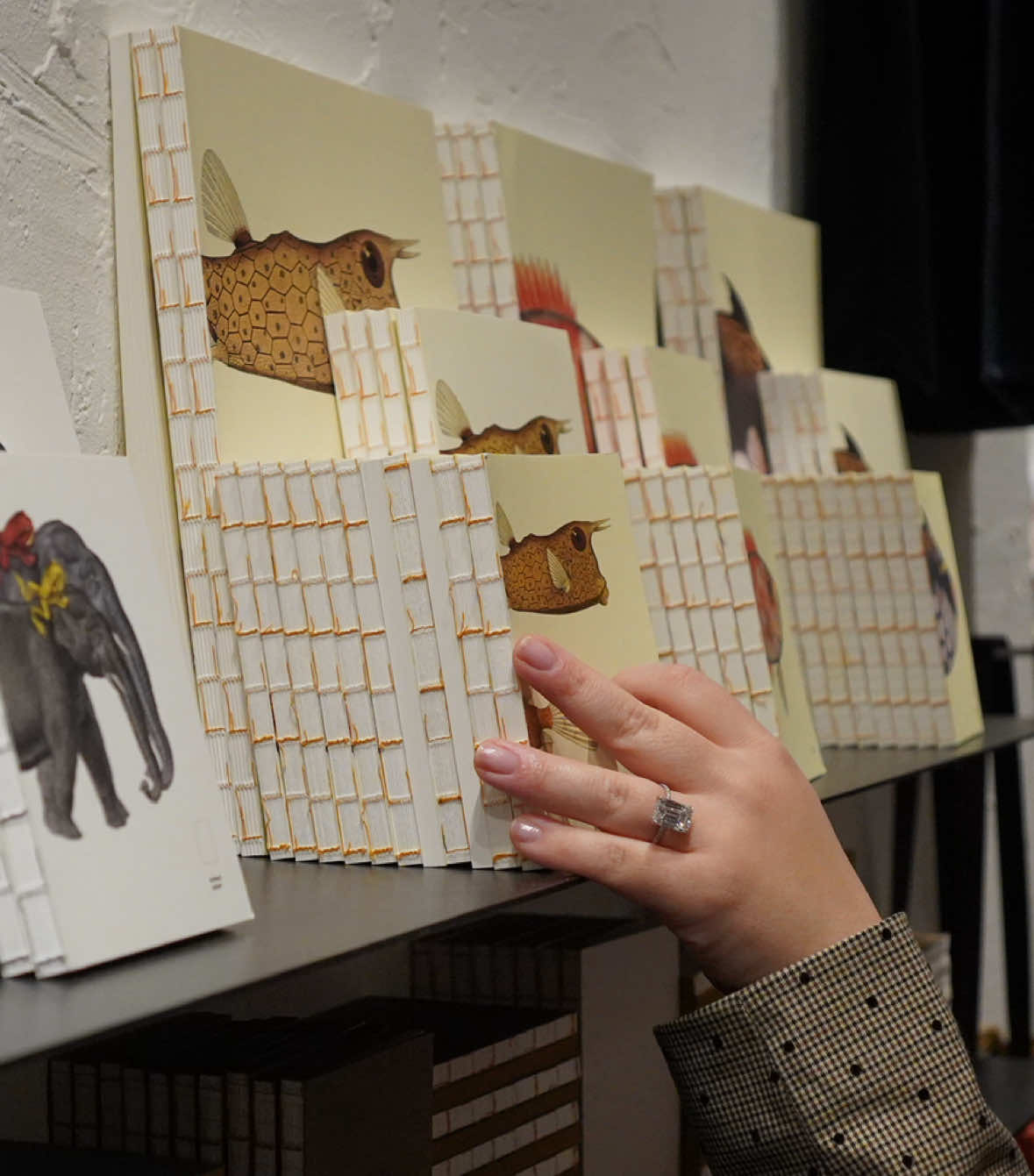 @paper republic