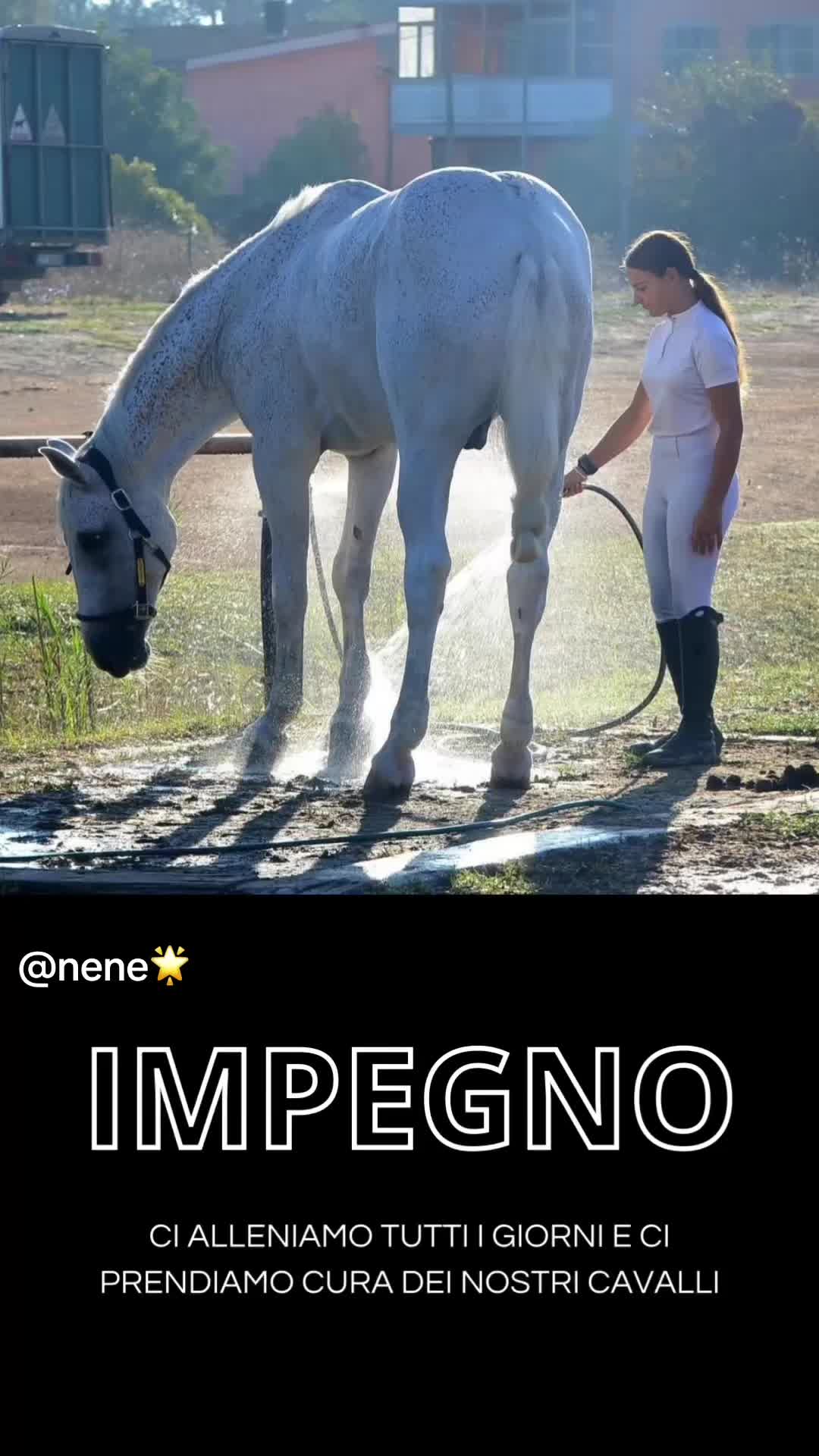 @Lapi Nicol Hr 🇮🇹