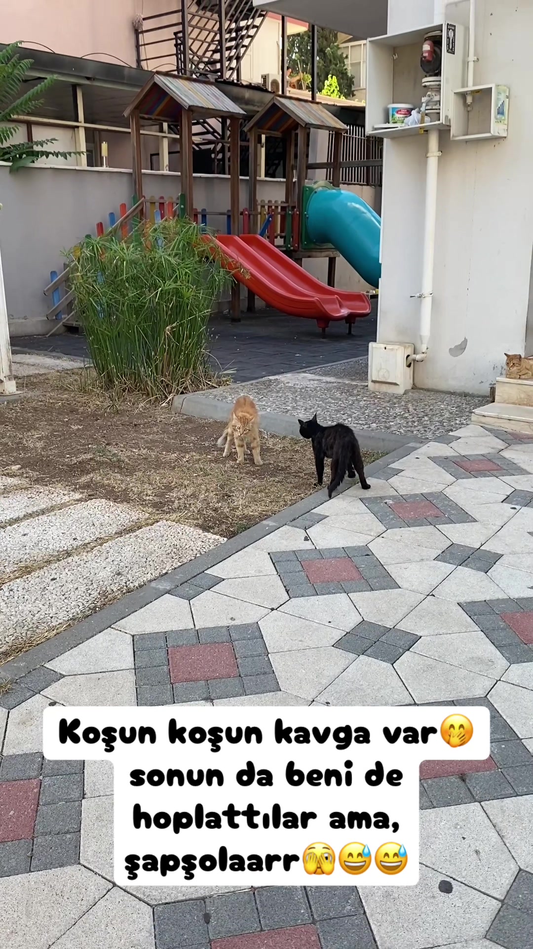 @Şapkalı Kadın