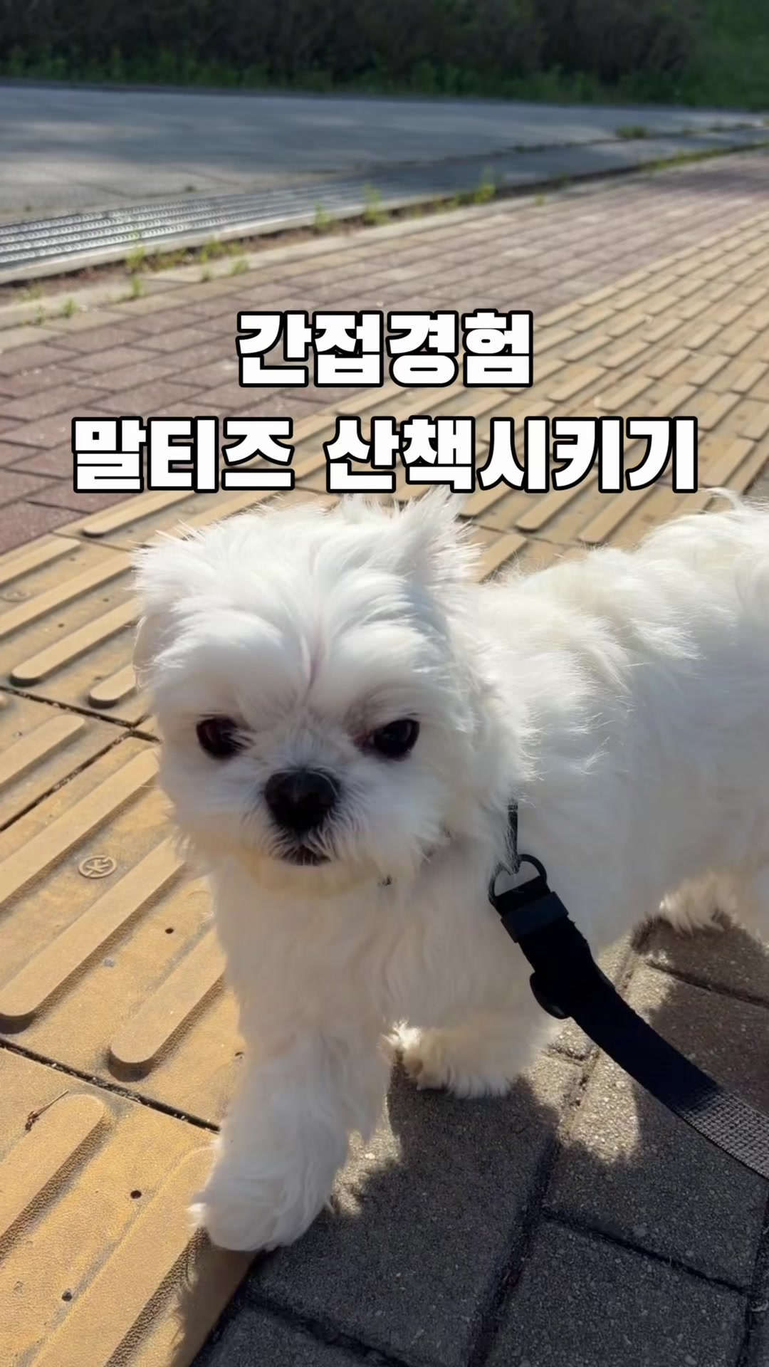 @박까까