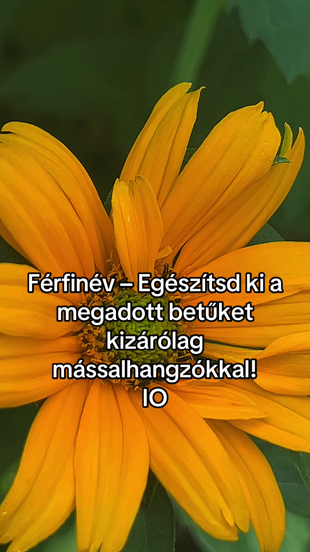 @Bizso, játssz velem naponta