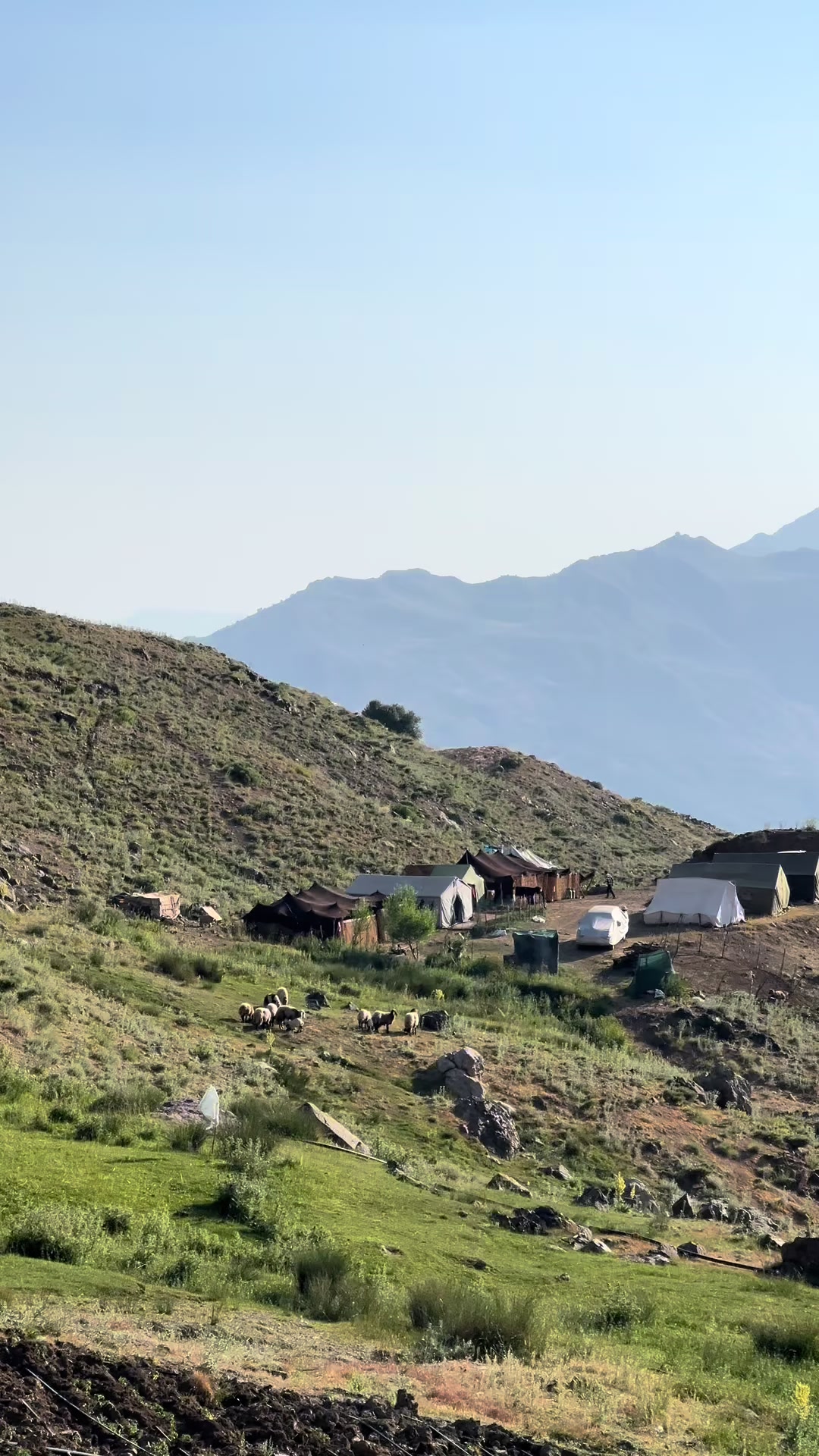 @ئاراز برادۆستی