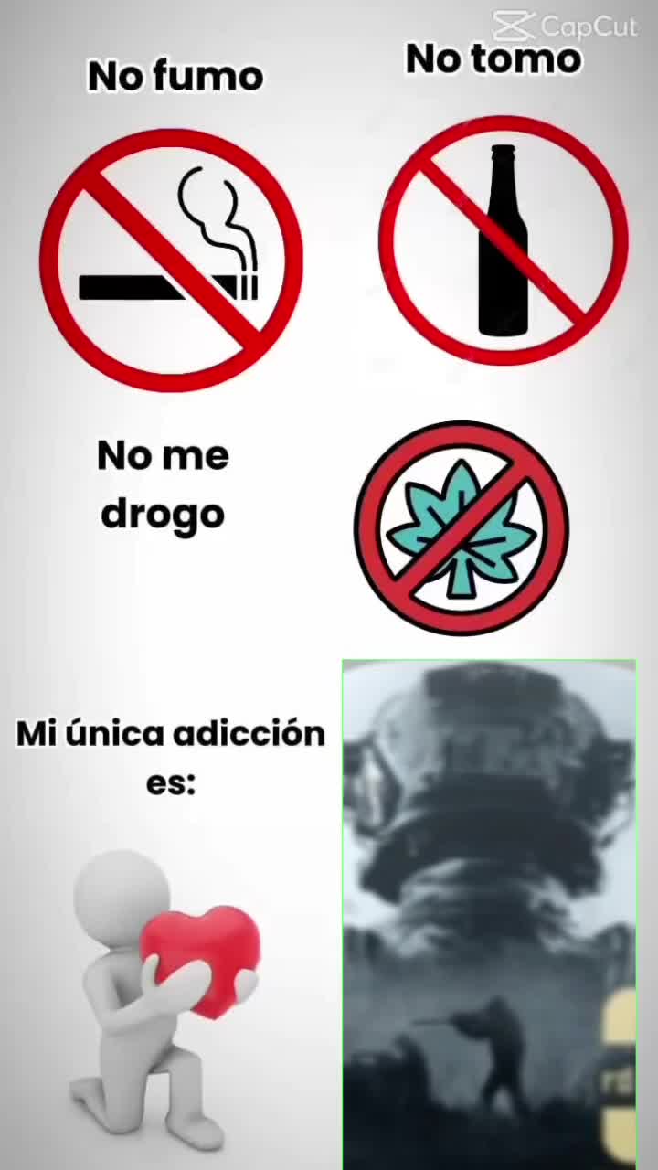 @gato de combate