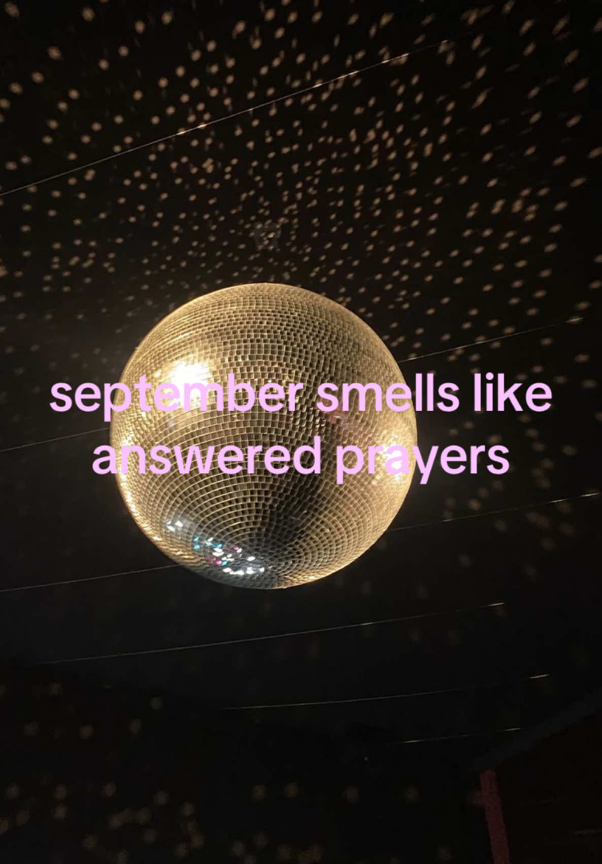 @sunset citrus