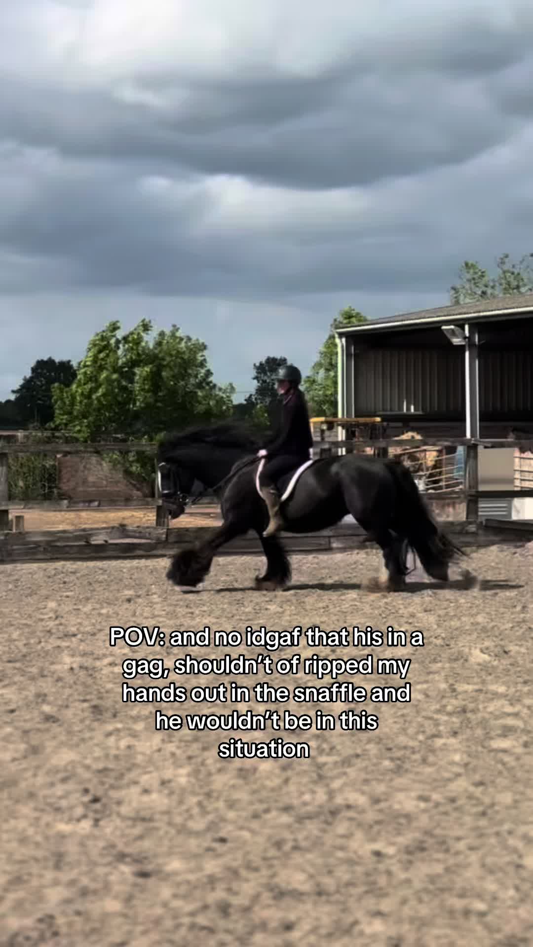 @Sophie&merlin🌸🐴