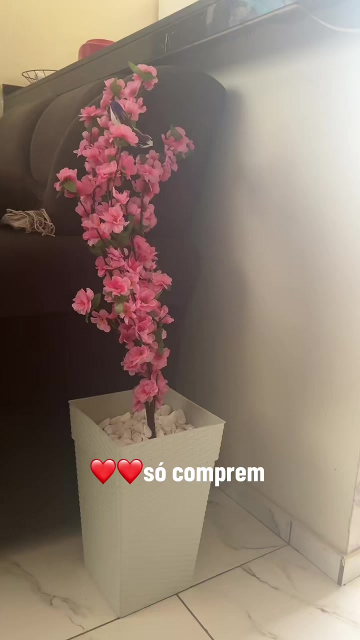 @Tik Tok Shop Brasil