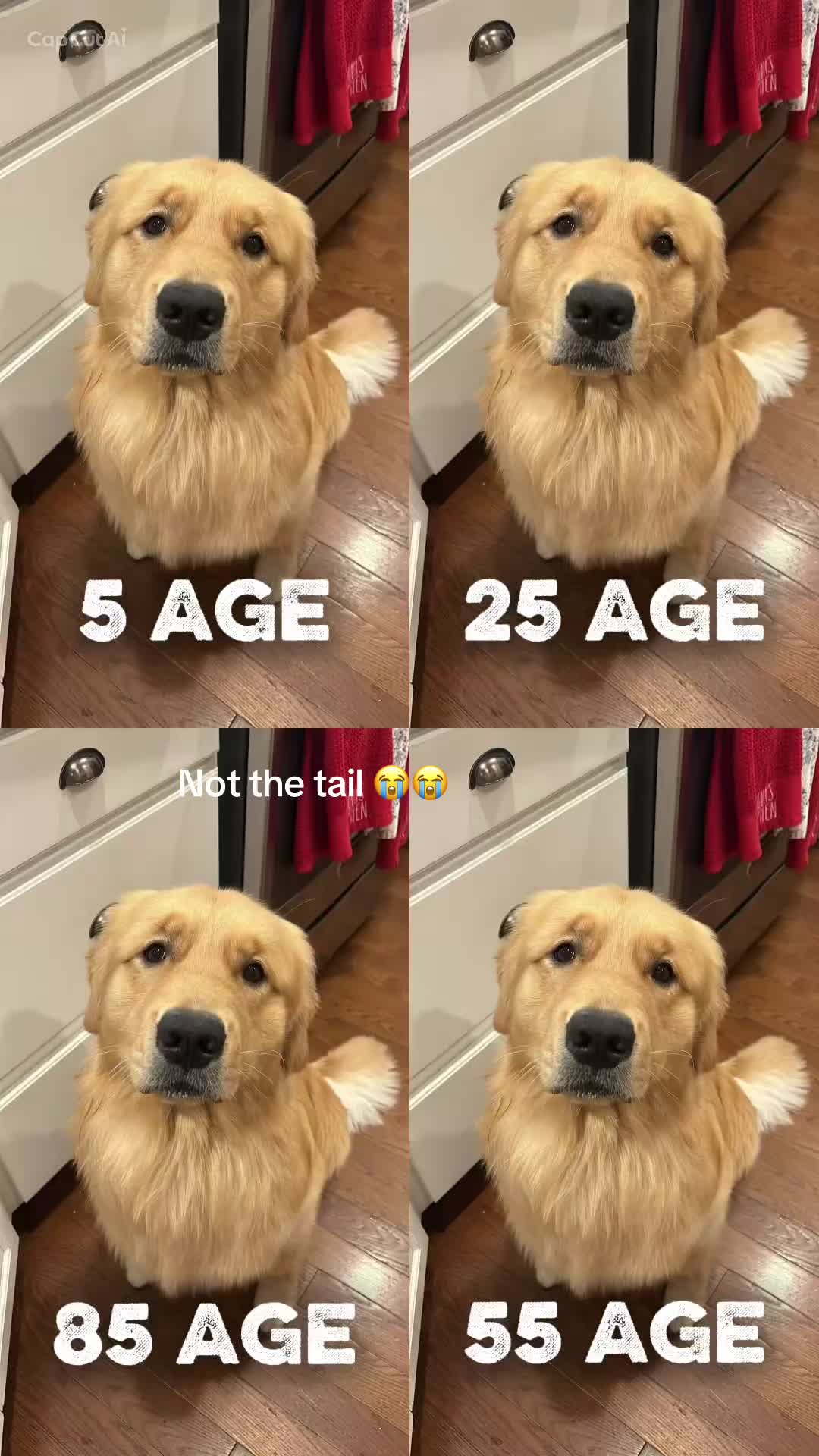 @JYoung101