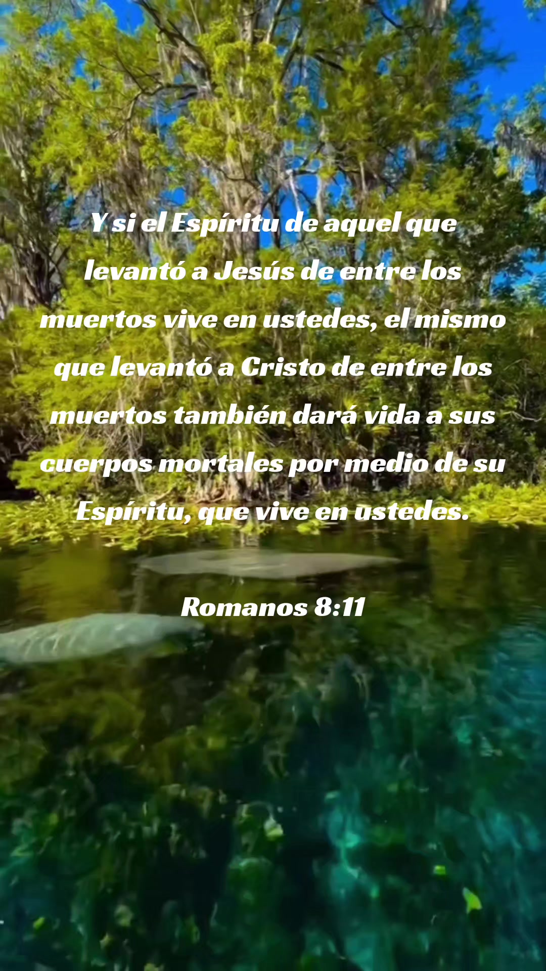 @Mensajes bíblicos