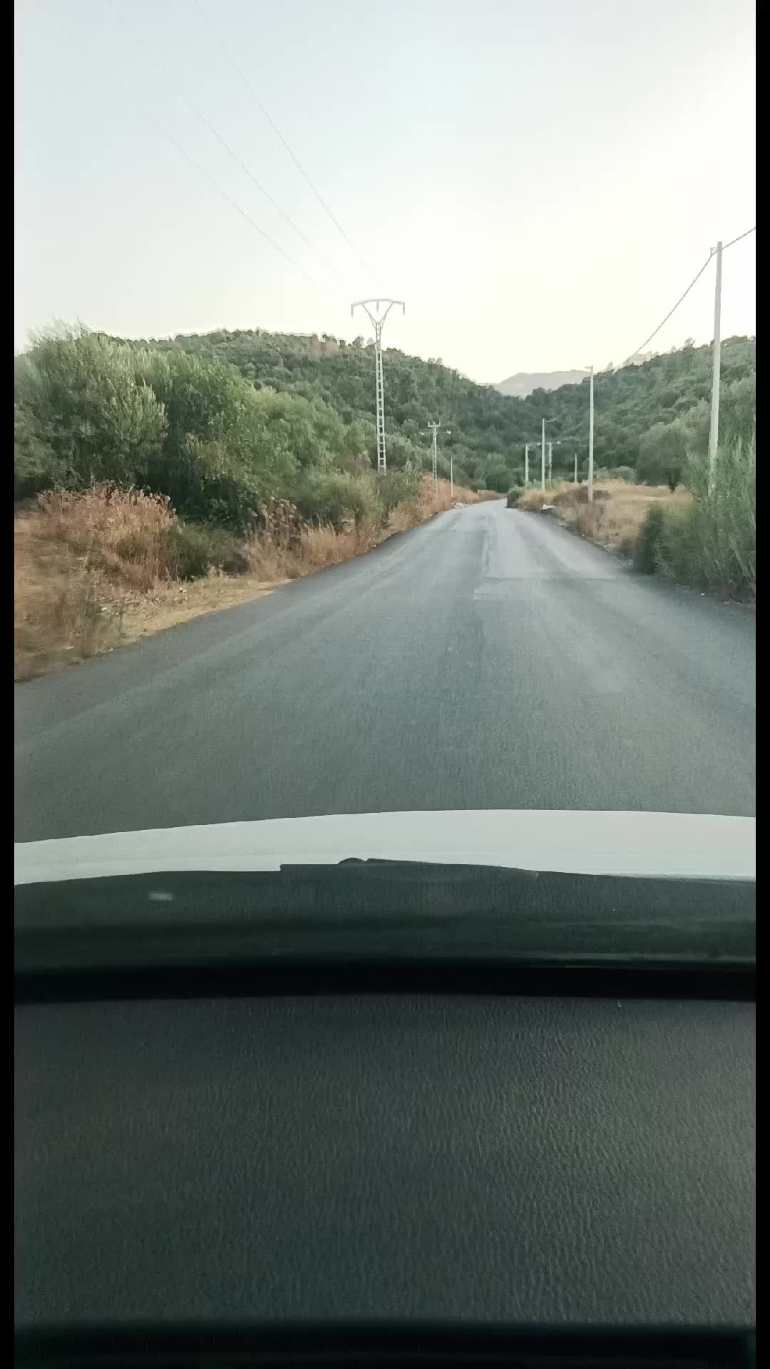@kabyle-dz