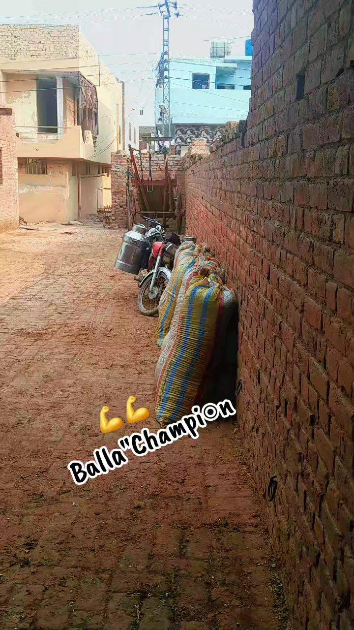 @Honey singh('gujjar')