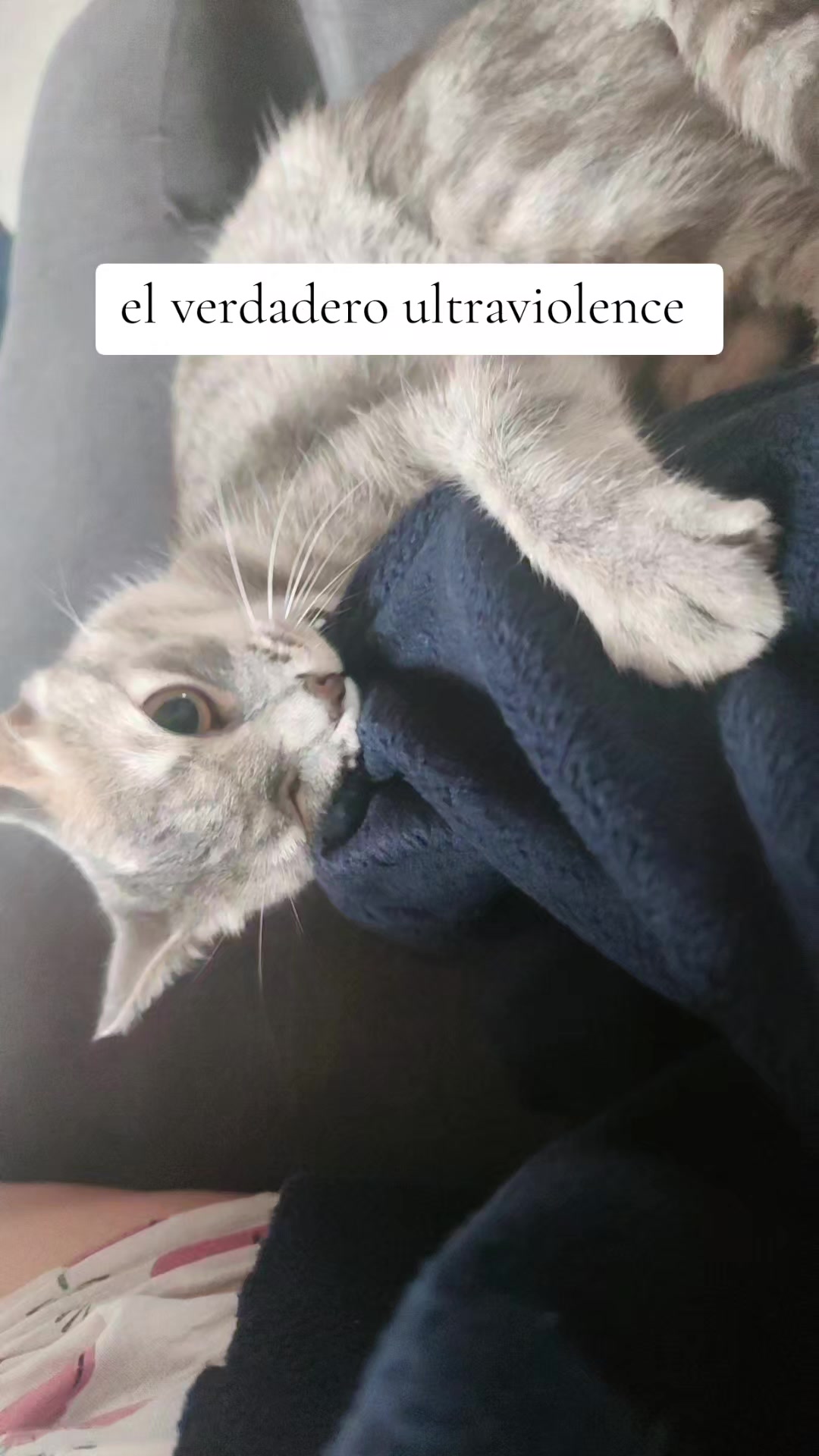 @Annahí BE