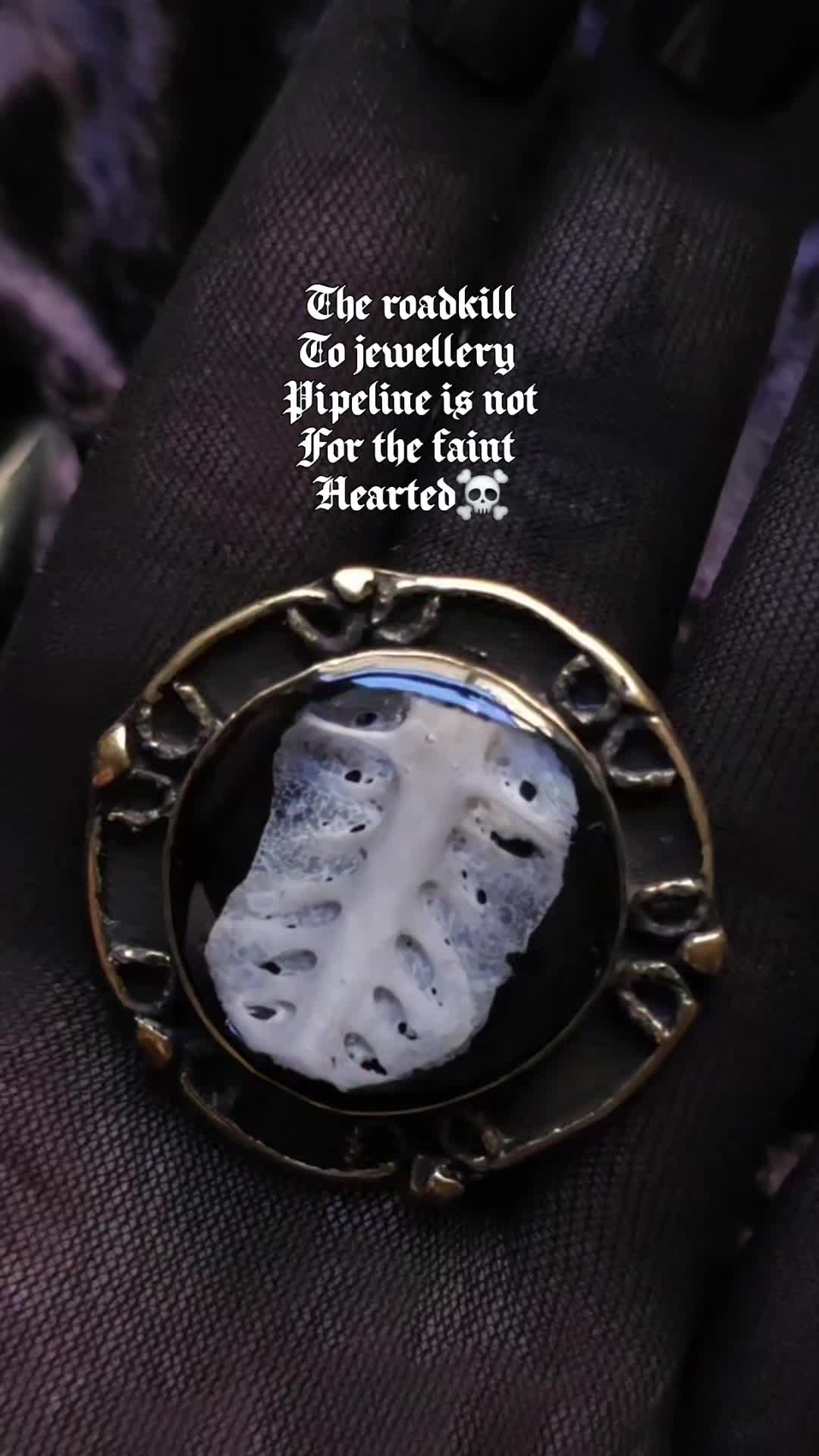 @Hebsons Curiosity shop🧚♀️